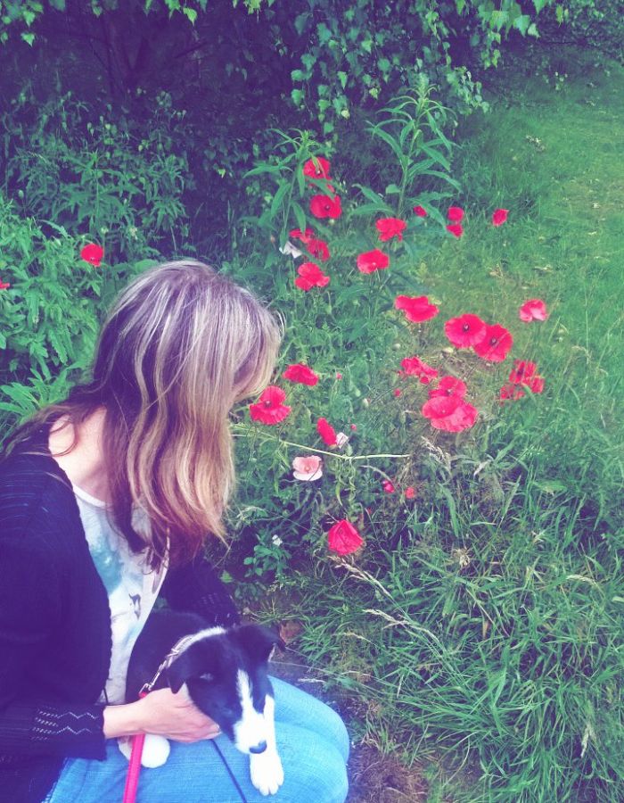 Puppies And Poppies: Such A Beautiful Combination