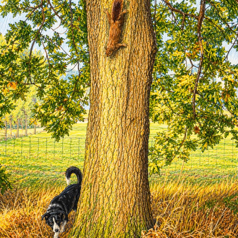Mollie And The Squirrel: Mollie The Collie's Diary Mollie And The Squirrel: Mollie The Collie's Diary