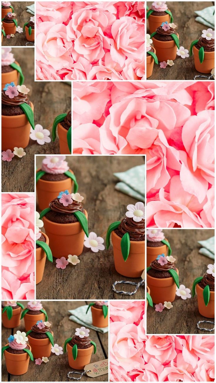 Chocolate Flowerpot Cupcakes