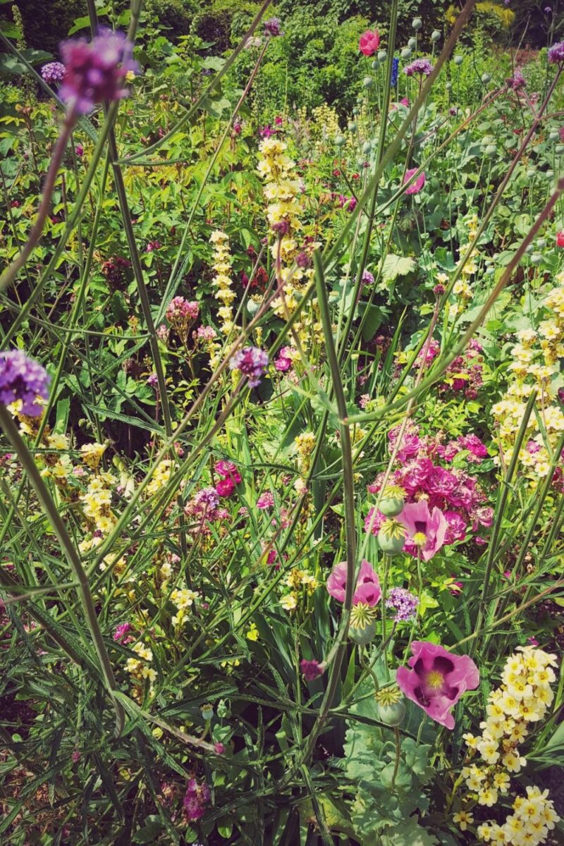 London’s Blooming Beauty