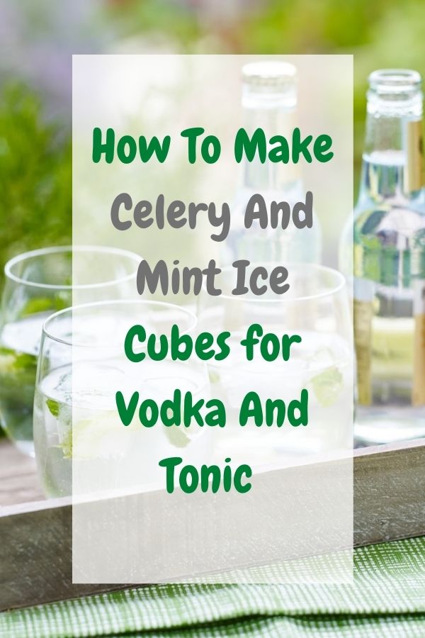 How To Make Celery And Mint Ice Cubes for Vodka