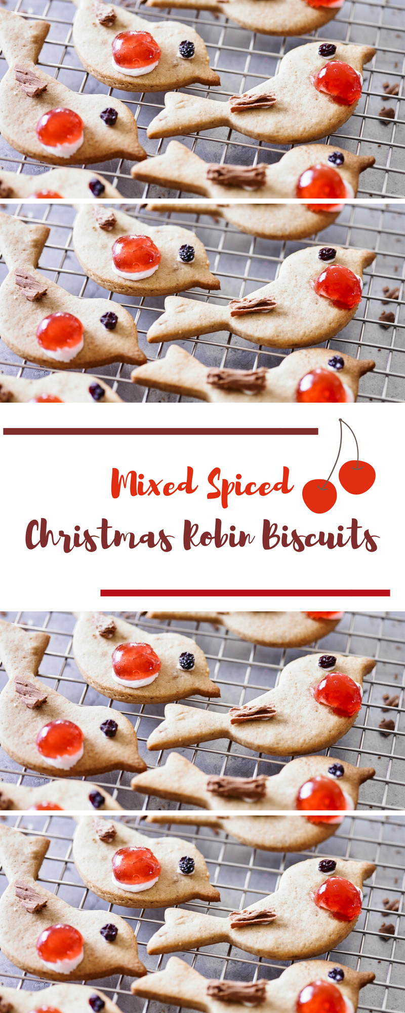 Mixed Spiced Christmas Robin Biscuits