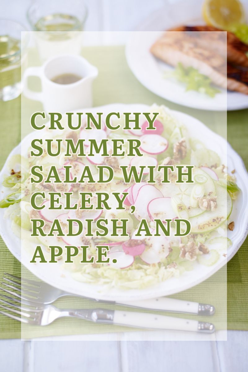 Crunchy Summer Salad With Celery, Radish And Apple