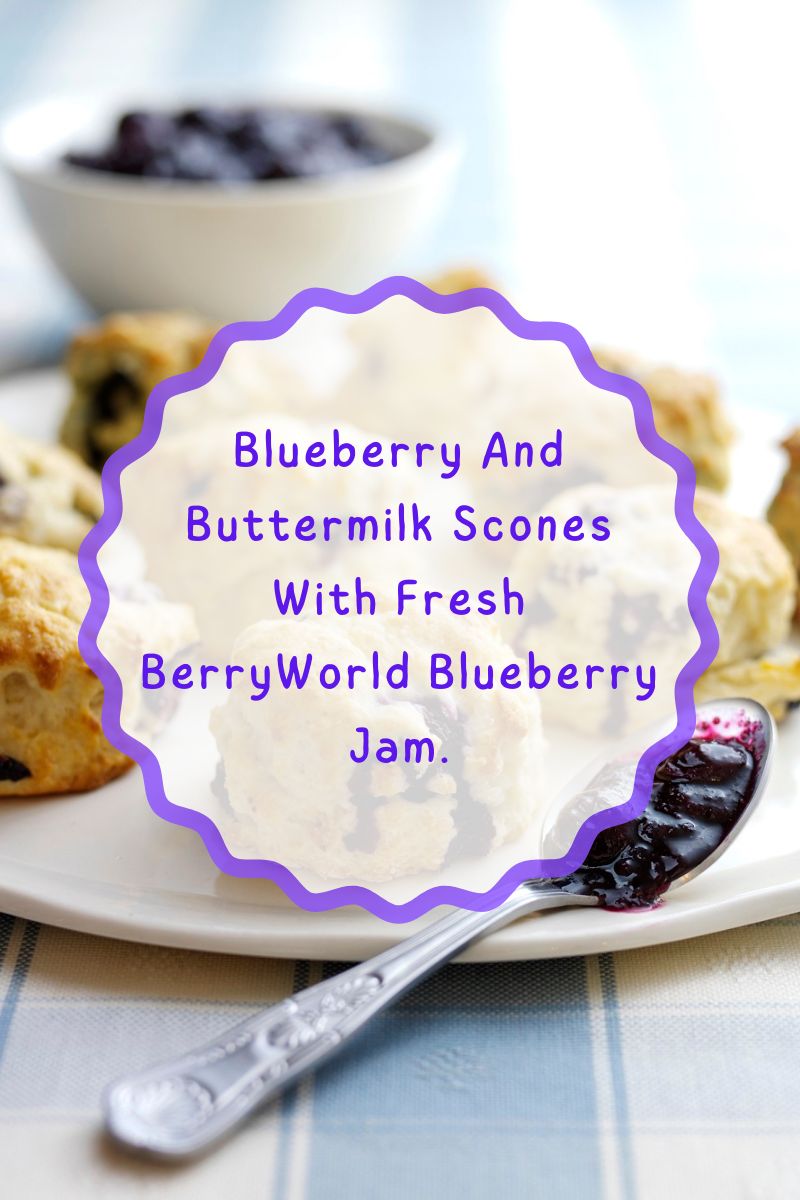 Blueberry And Buttermilk Scones With Fresh BerryWorld Blueberry Jam Blueberry And Buttermilk Scones With Fresh BerryWorld Blueberry Jam