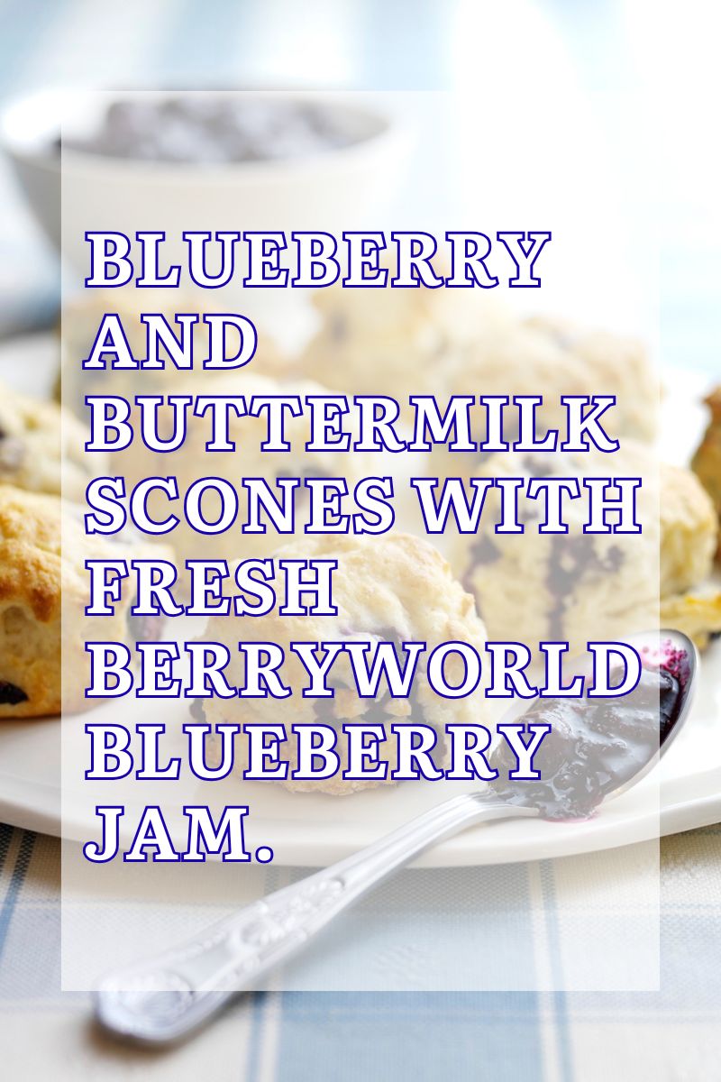 Blueberry And Buttermilk Scones With Fresh BerryWorld Blueberry Jam Blueberry And Buttermilk Scones With Fresh BerryWorld Blueberry Jam