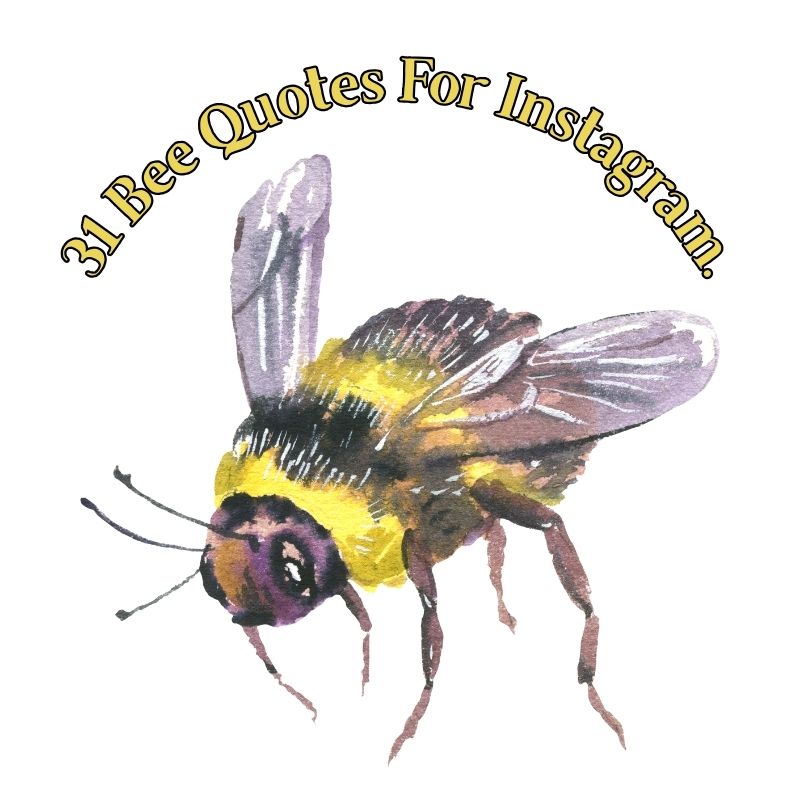 31 Bee Quotes For Instagram