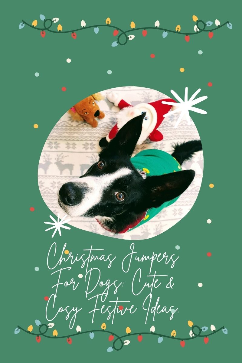 Christmas Jumpers For Dogs: Cute & Cosy Festive Ideas