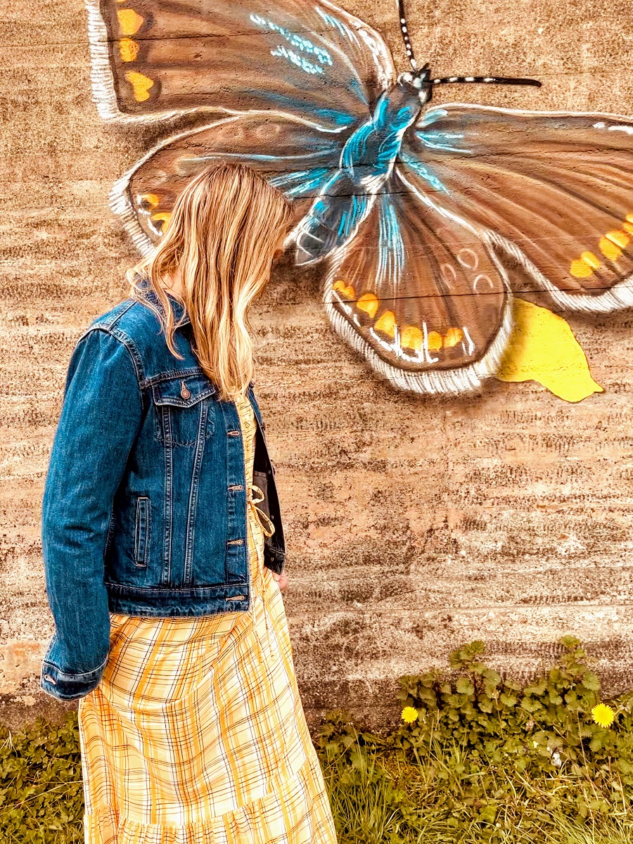 Beautiful Butterfly Street Art
