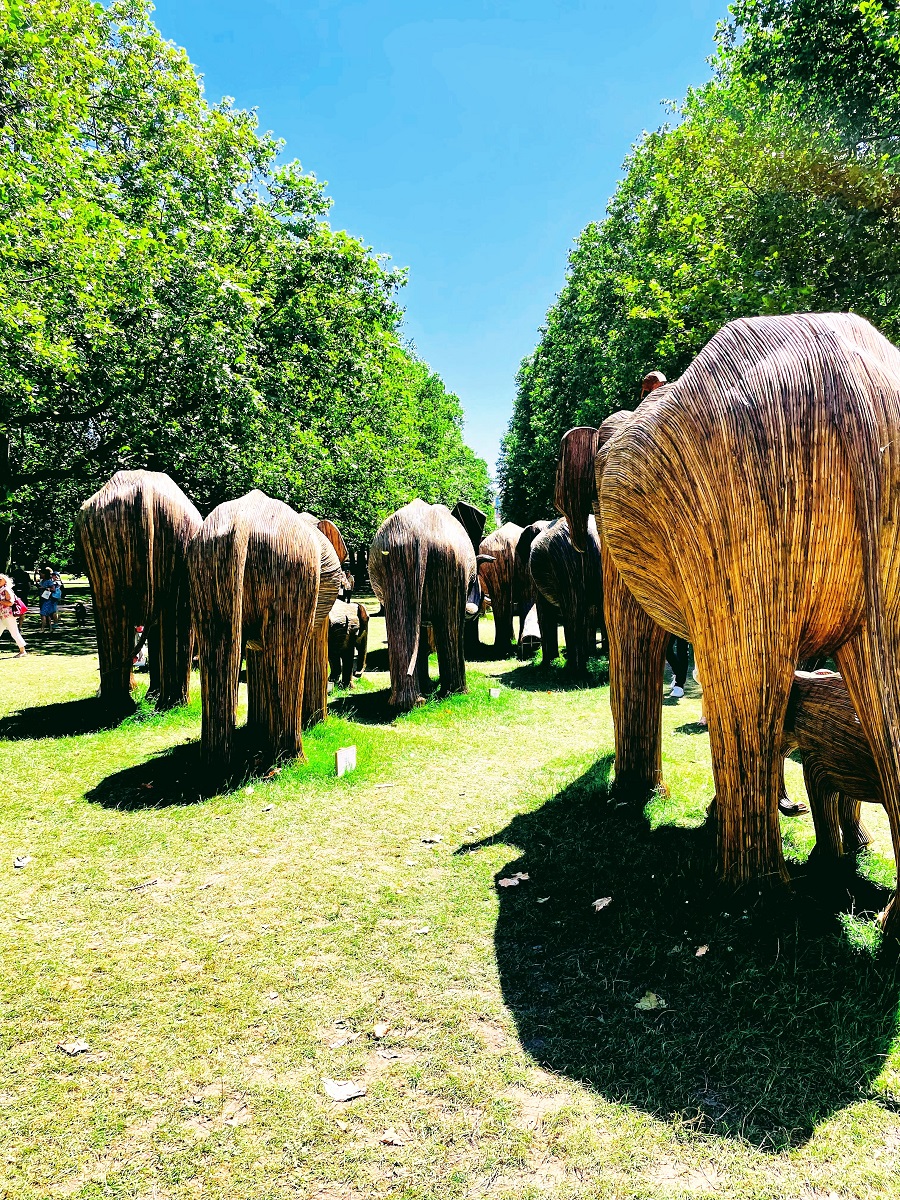 100 Life Size Elephants Spotted In London 
