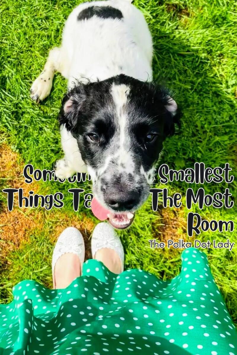 Sometimes The Smallest Things Take Up The Most Room In Your Heart