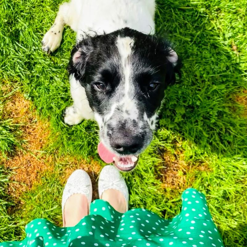 Style A Green Polka Dot Dress Style A Green Polka Dot Dress