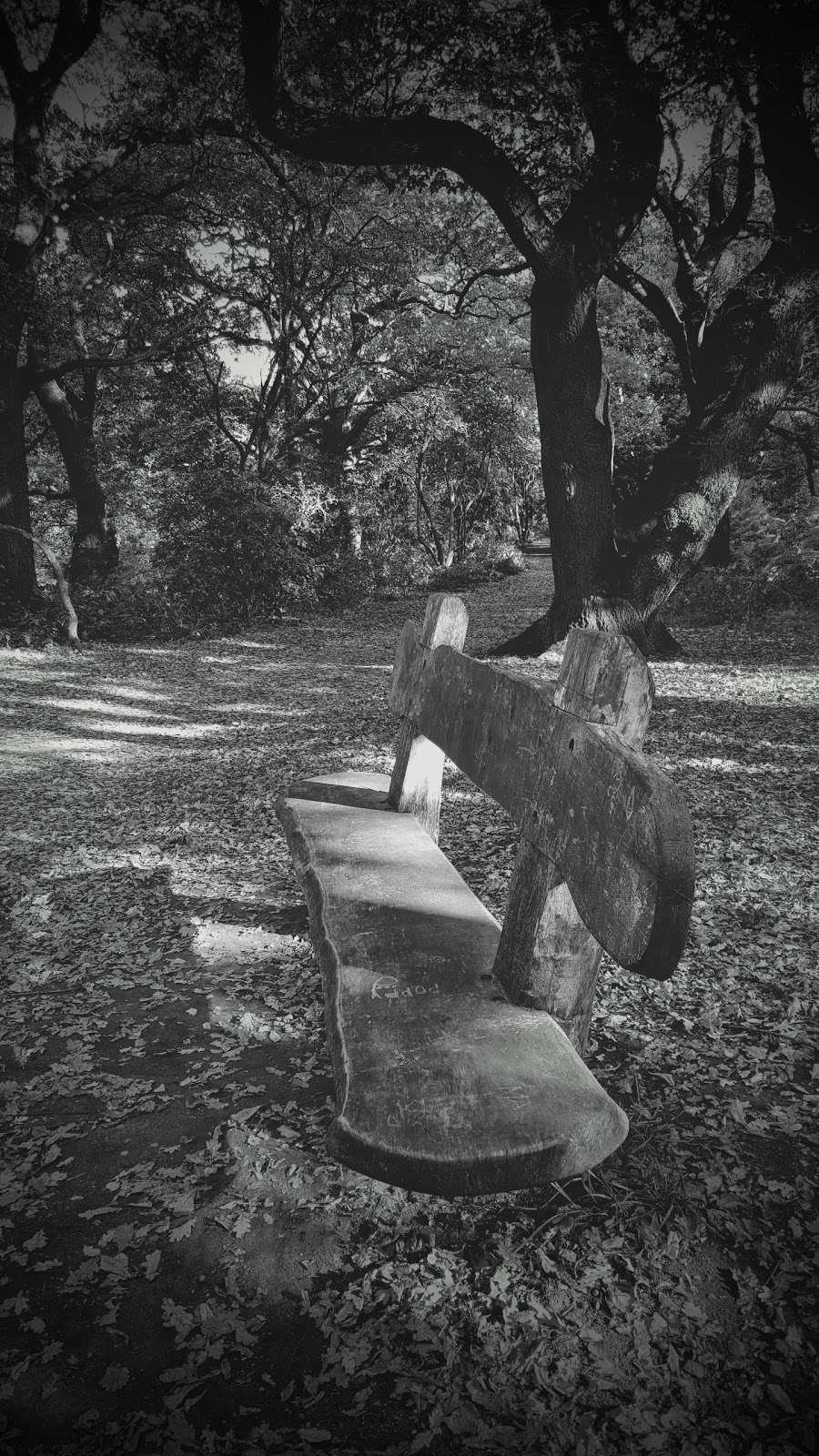Shadow Shot Sunday: How Cool Is This Bench!?