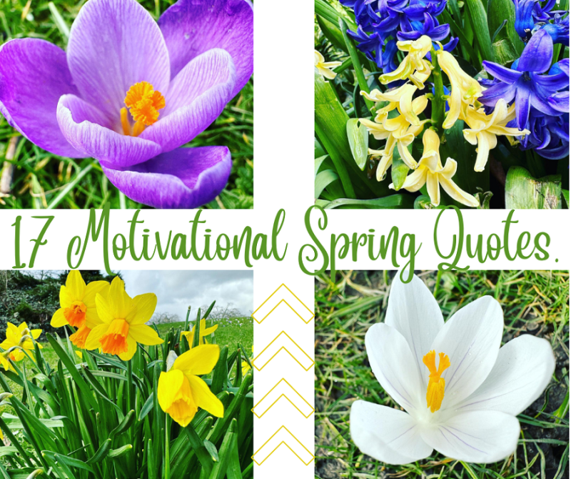 17 Motivational Spring Quotes