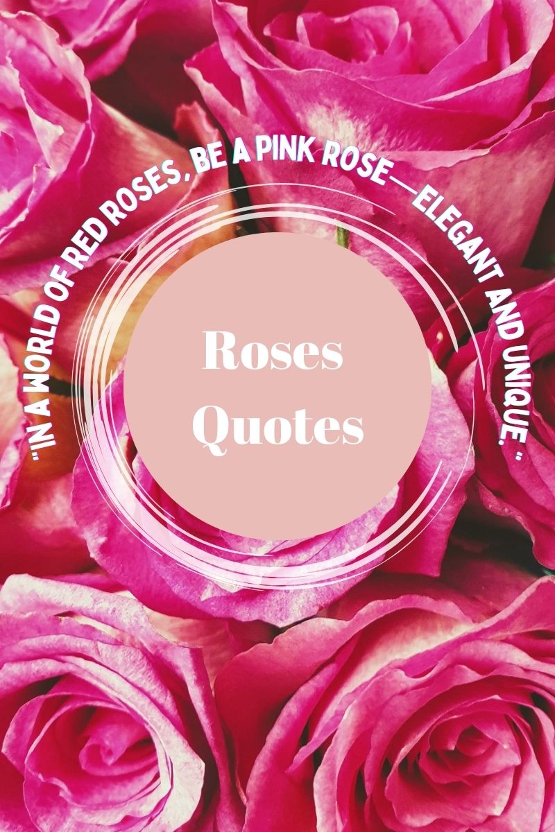 Quote On Roses And Code 20 Inspirational Quotes About Pink Roses - Claire Justine