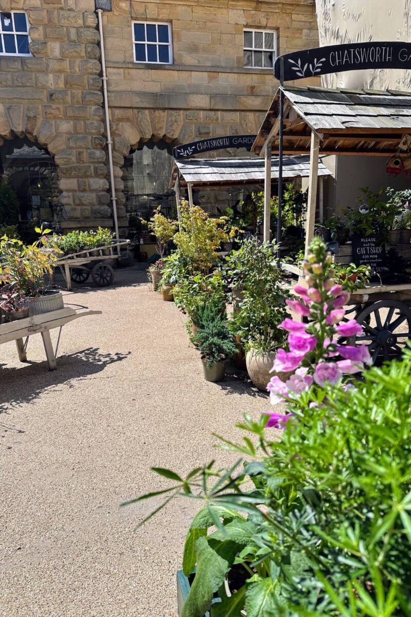 A Charming Day At Chatsworth House And Tea Rooms Wearing My Light Blue Polka Dot Dress A Charming Day At Chatsworth House And Tea Rooms Wearing My Light Blue Polka Dot Dress