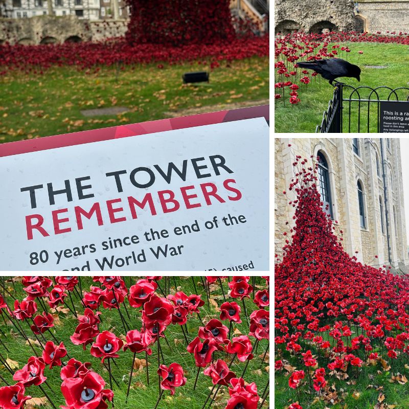 The Tower Of London Poppy Display