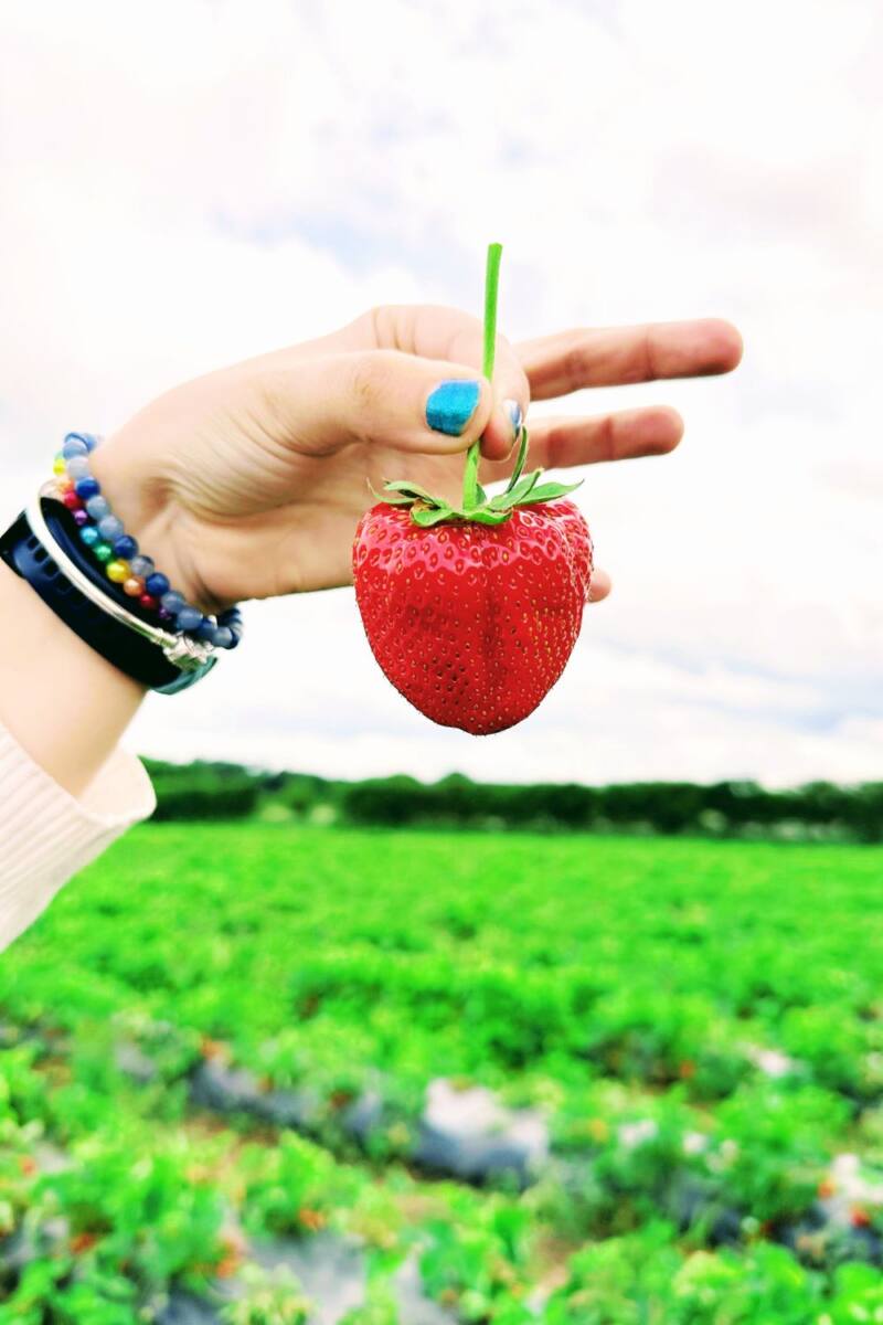 66 Healthy Smoothie And Smoothie Bowl Recipes (UK Edition)