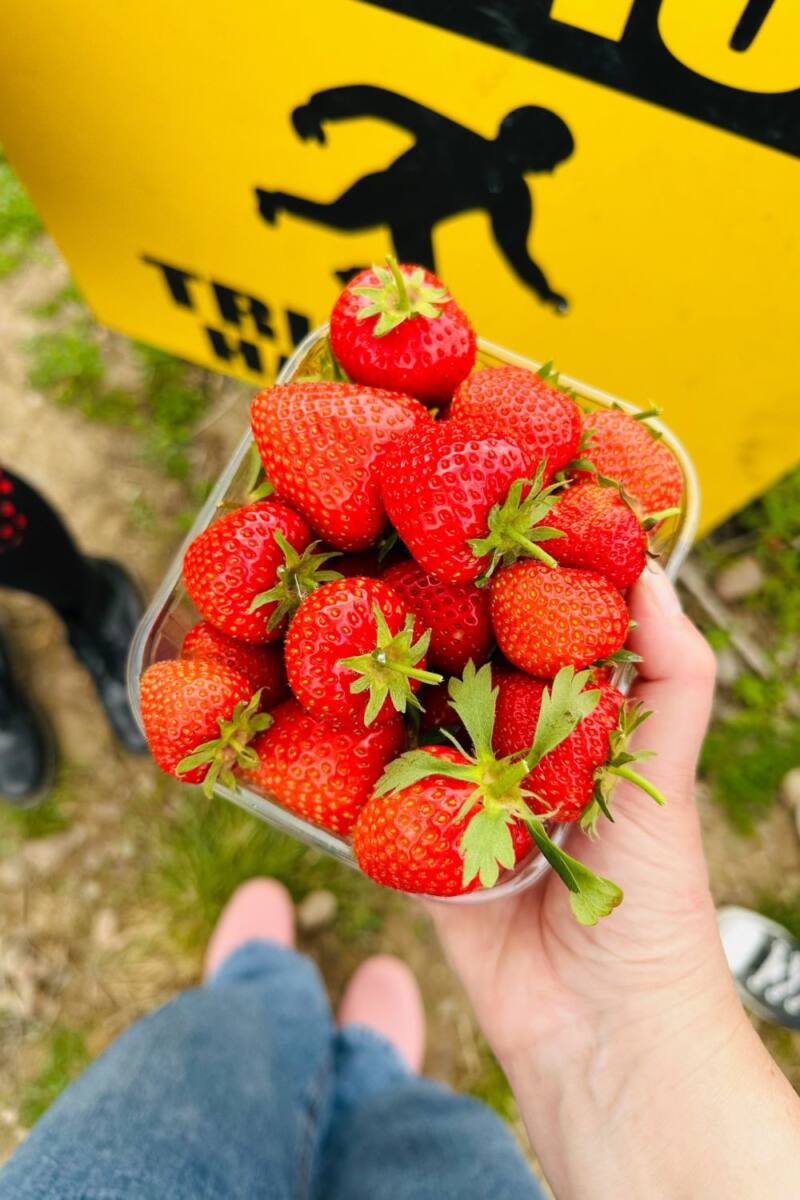 66 Healthy Smoothie And Smoothie Bowl Recipes (UK Edition)