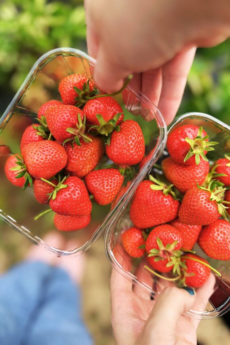 66 Healthy Smoothie And Smoothie Bowl Recipes (UK Edition)