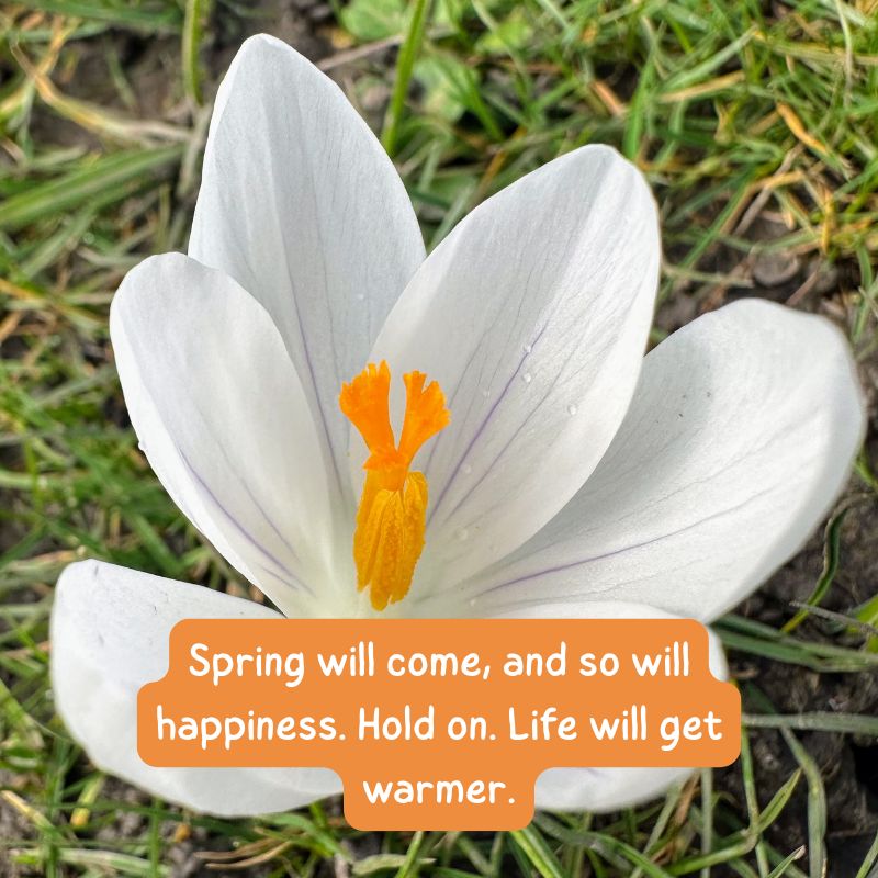17 Motivational Spring Quotes To Brighten Up Your Day