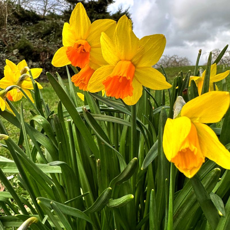 17 Motivational Spring Quotes To Brighten Up Your Day