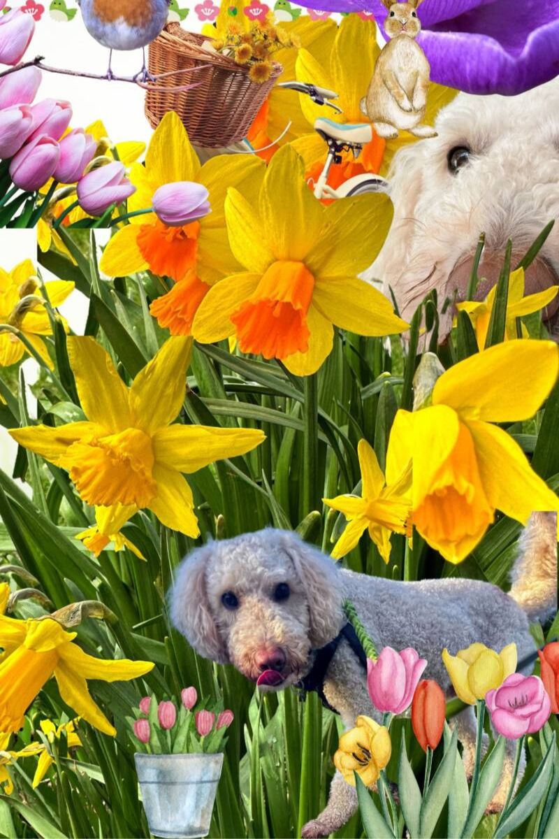 Brighten Up Your Day