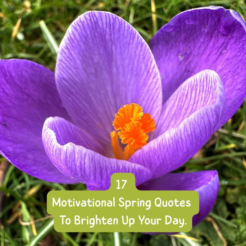17 Motivational Spring Quotes To Brighten Up Your Day